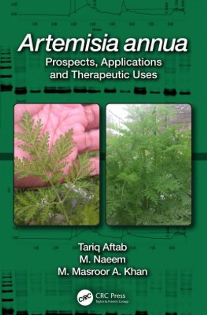 Artemisia annua