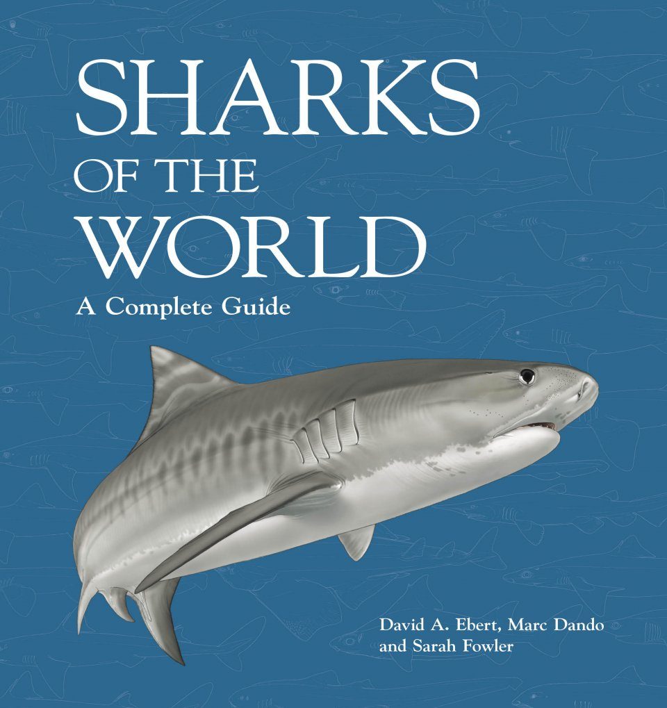 Sharks Of The World A Fully Illustrated Guide David A