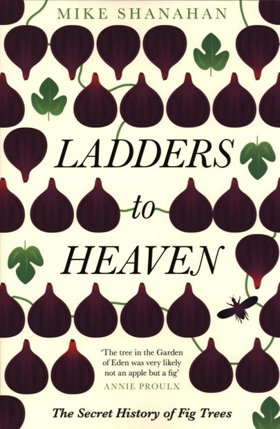Ladders to Heaven