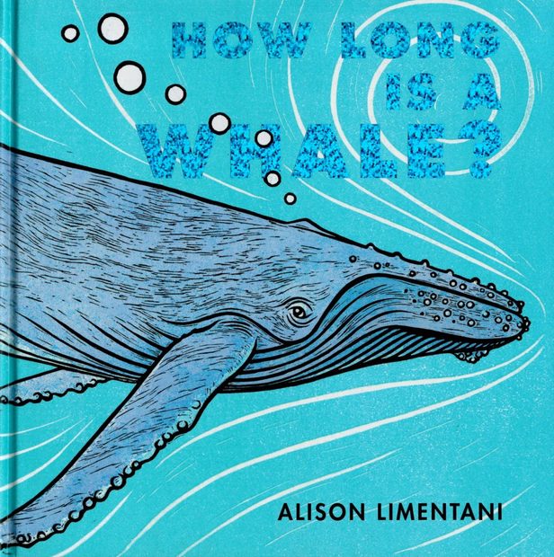 How Long Is a Whale?