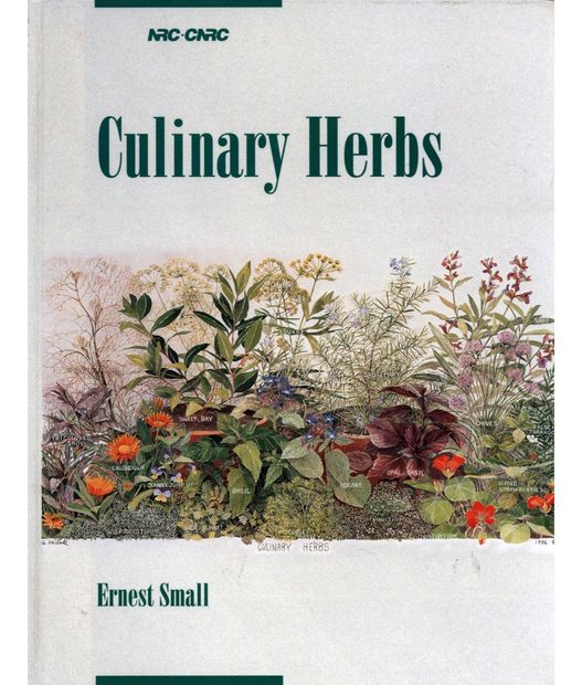 Culinary Herbs