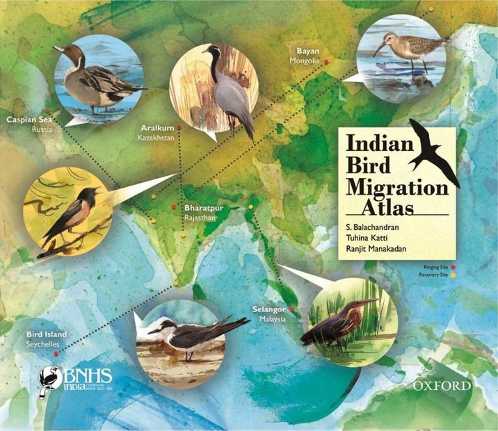 Indian Bird Migration Atlas