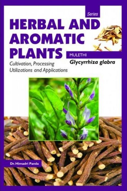 Herbal and Aromatic Plants: Mulethi: Glycyrrhiza glabra