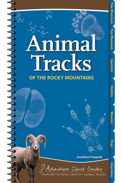 Animal Tracks of the Rocky Mountains