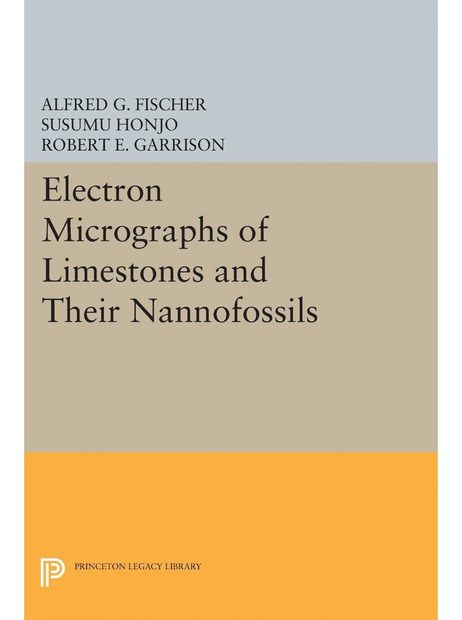 Electron Micrographs of Limestones and Their Nannofossils