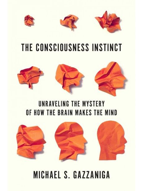 The Consciousness Instinct