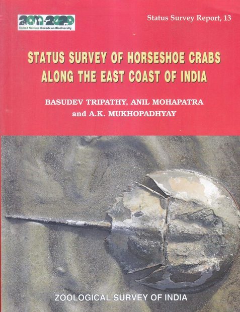 Status Survey of Horseshoe Crabs along the East Coast of India