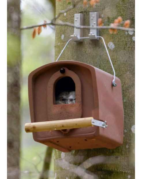 No. 30 Schwegler Tawny Owl Nest Box 