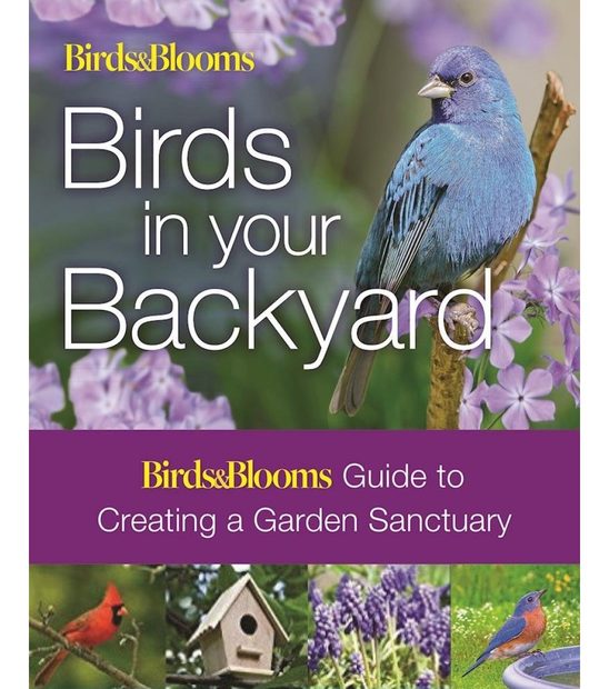 Birds in Your Backyard