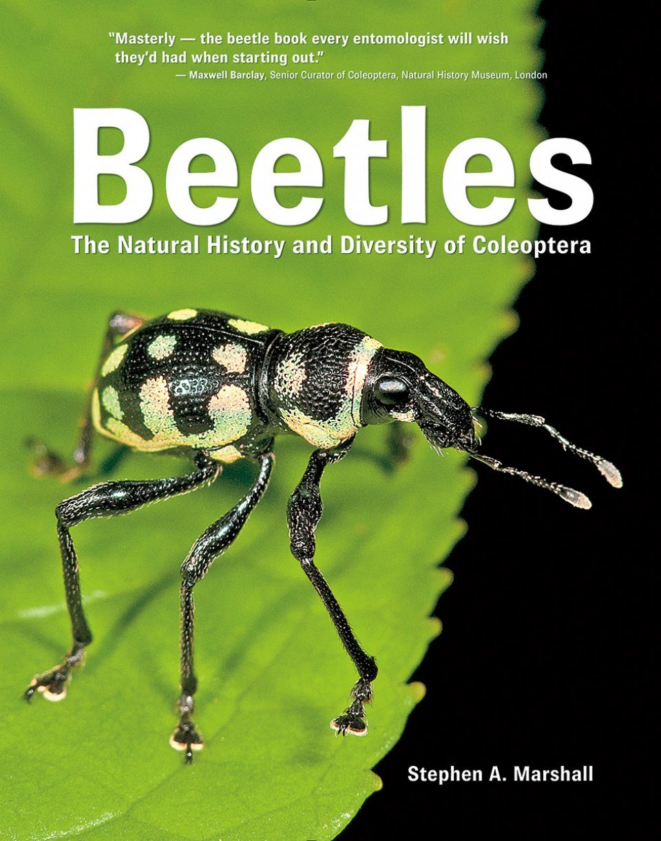 Beetles The Natural History and Diversity of Coleoptera Epub-Ebook