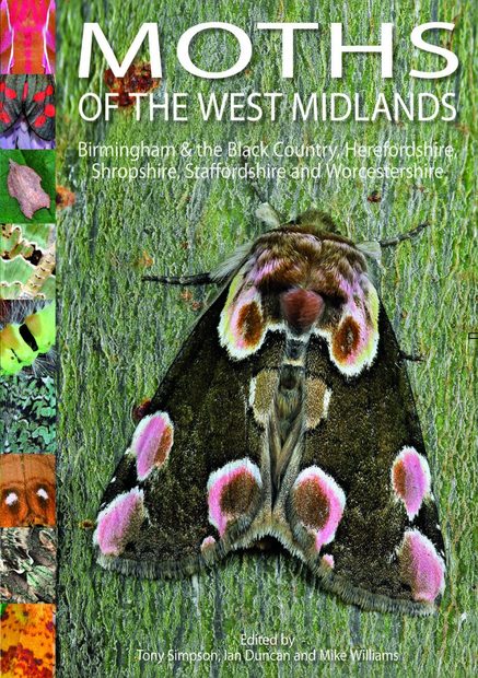 Moths of the West Midlands