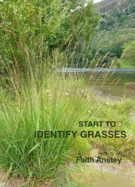 Start to Identify Grasses [enlarged edition]