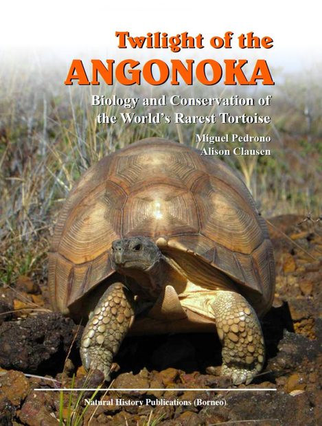 Twilight of the Angonoka