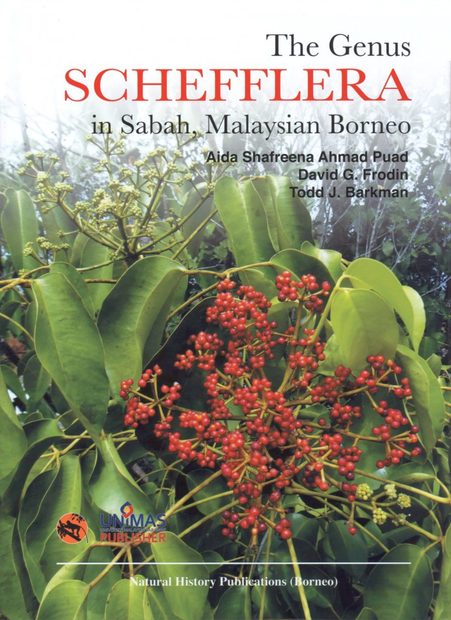 The Genus Schefflera in Sabah, Malaysian Borneo