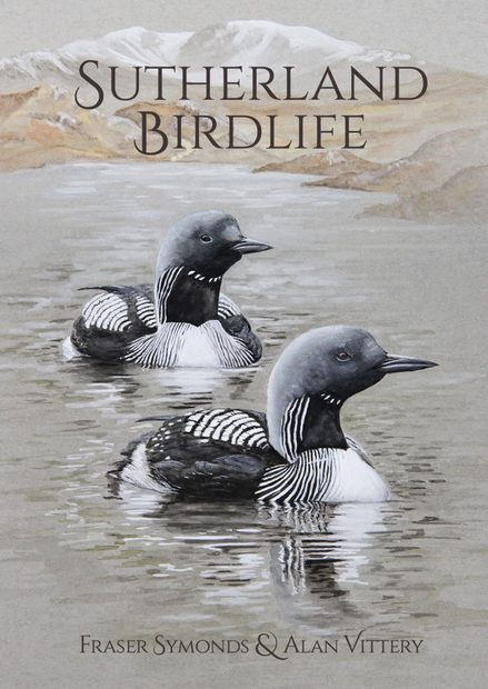 Sutherland Birdlife