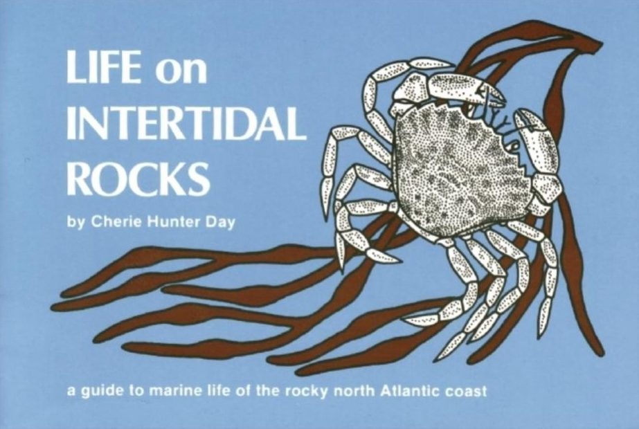 Life on Intertidal Rocks