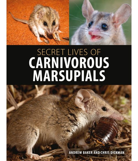 Secret Lives of Carnivorous Marsupials