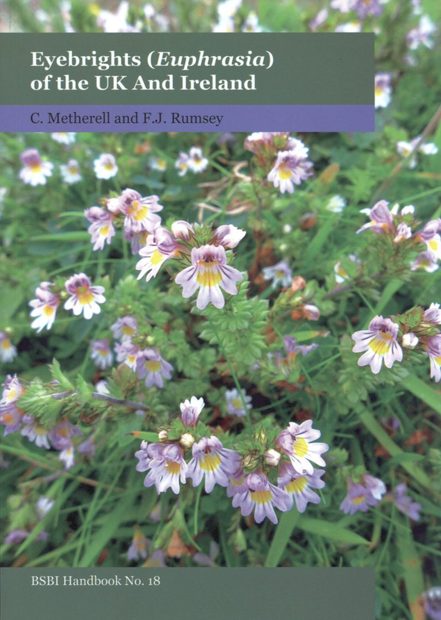 Eyebrights (Euphrasia) of the UK and Ireland