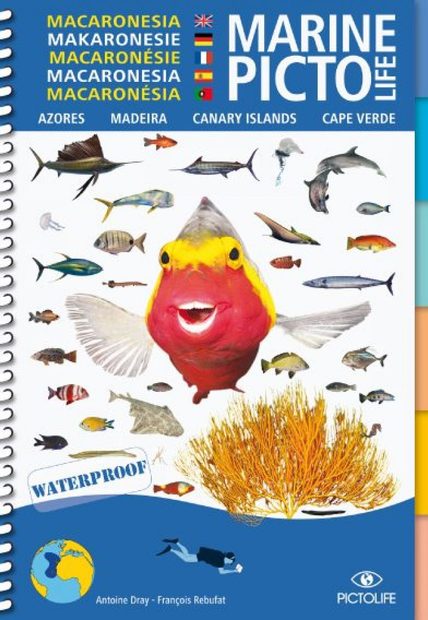 Marine Pictolife Macaronesia [multilingual]