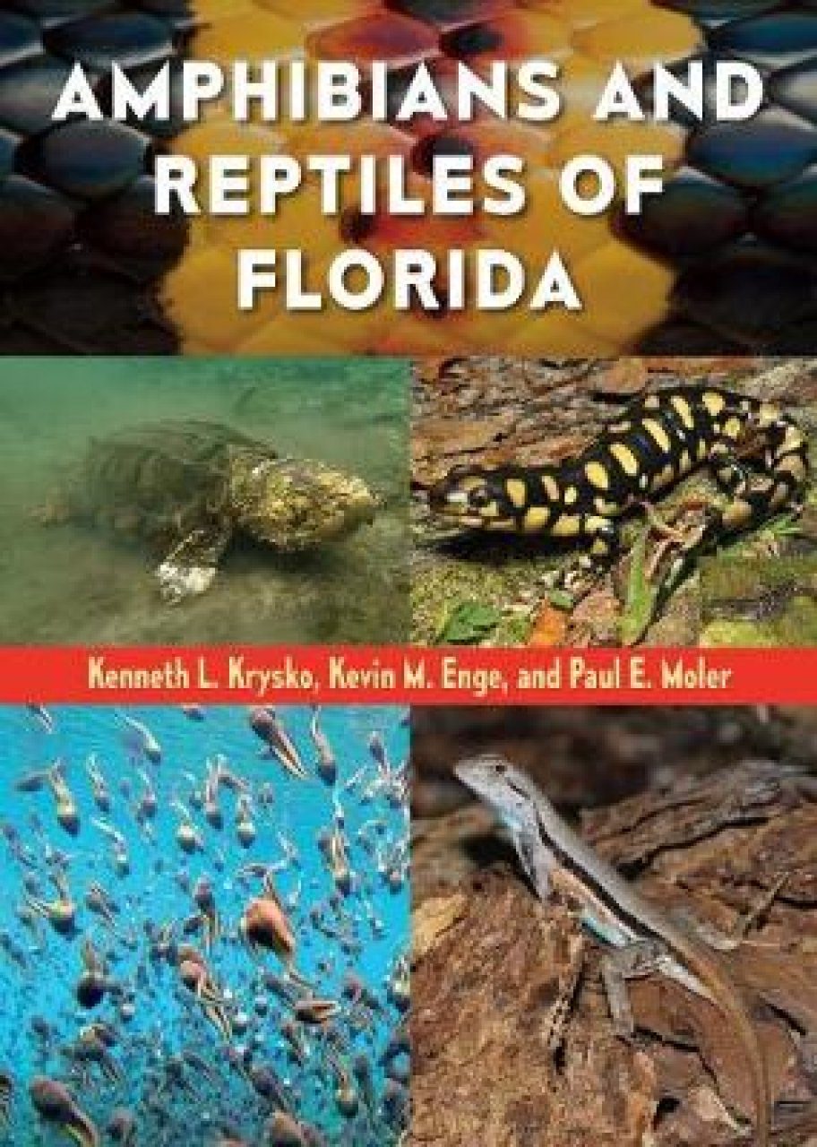 Amphibians and Reptiles of Florida  NHBS Academic & Professional Books