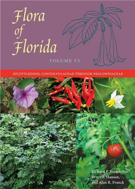 Flora of Florida, Volume 6: Dicotyledons, Convolvulaceae through Paulowniaceae