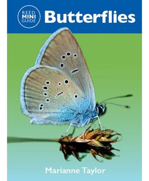 Reed Mini Guide: Butterflies