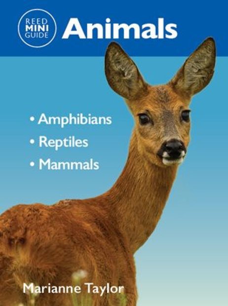 Reed Mini Guide: Animals