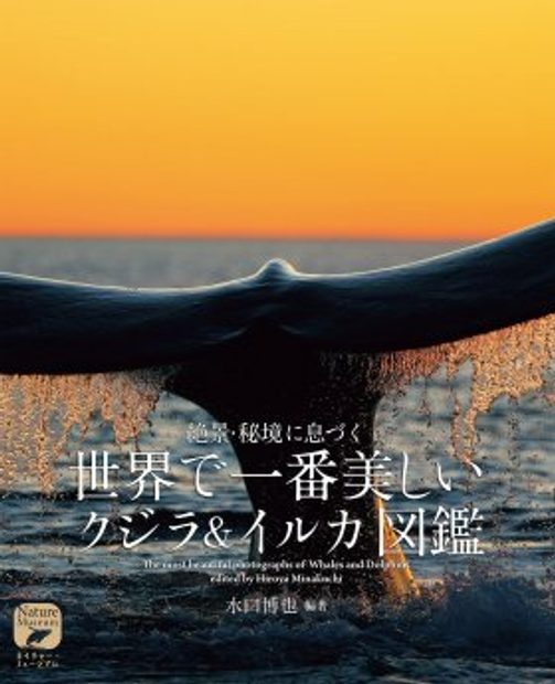 The Most Beautiful Photographs of Whales and Dolphins [Japanese]