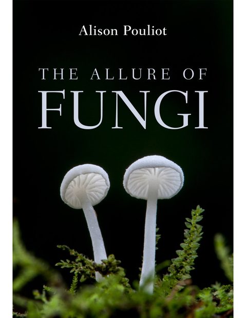 The Allure of Fungi