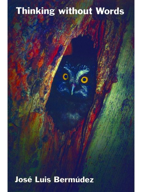 Thinking Without Words