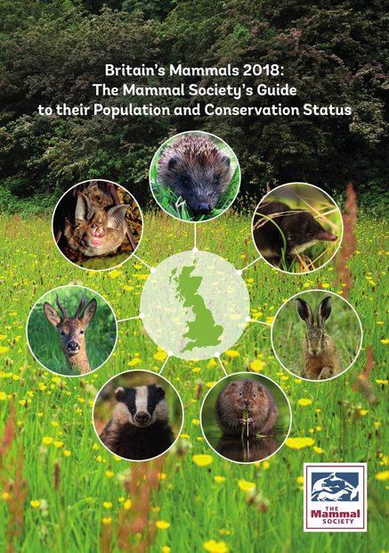 Britain's Mammals 2018