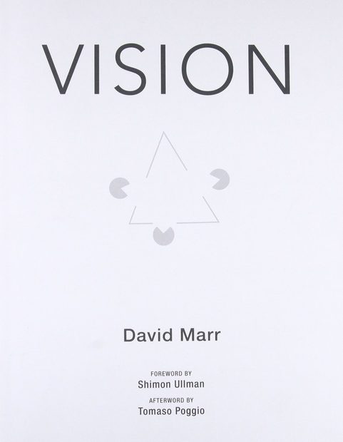 Vision
