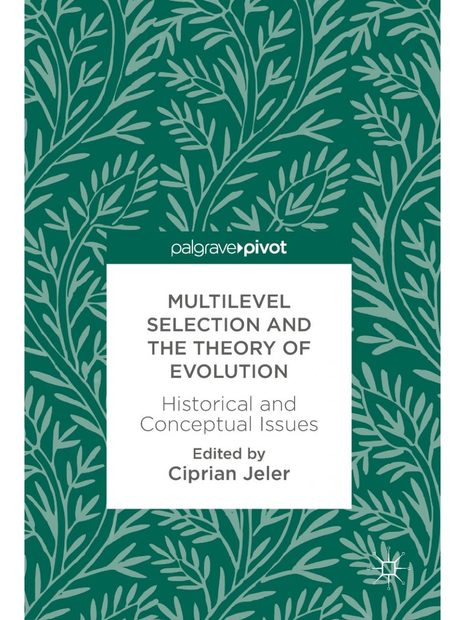 Multilevel Selection and the Theory of Evolution