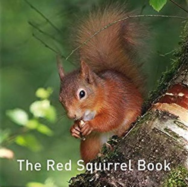 The Red Squirrel Book