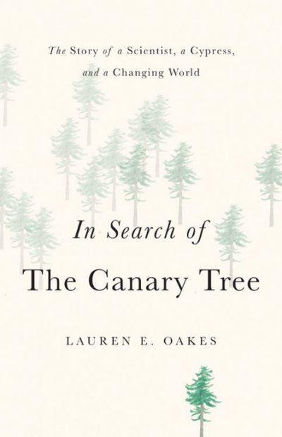 In Search of the Canary Tree