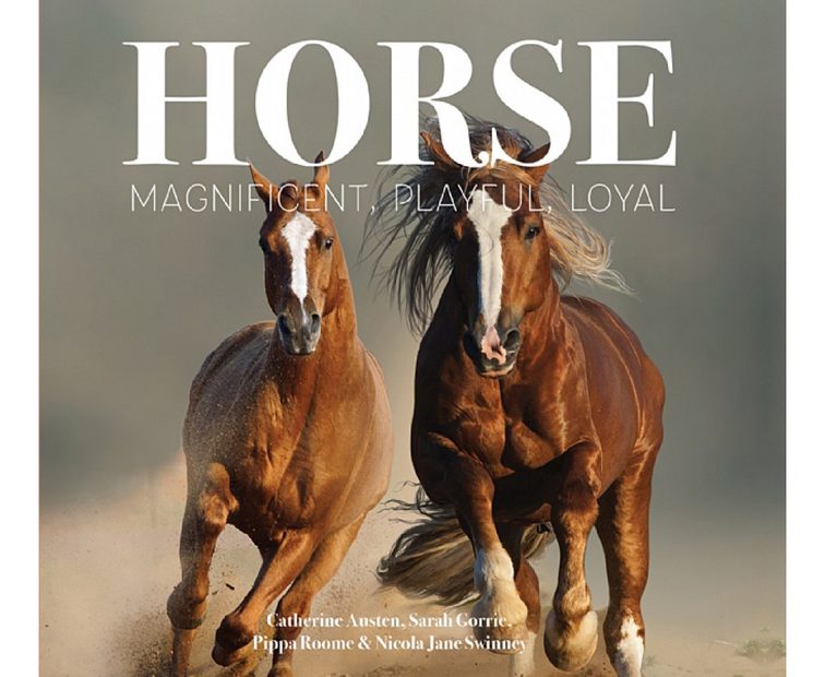 Horse: Magnificent, Playful, Loyal