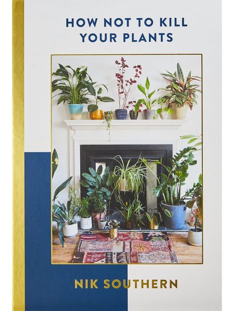 How Not To Kill Your Plants
