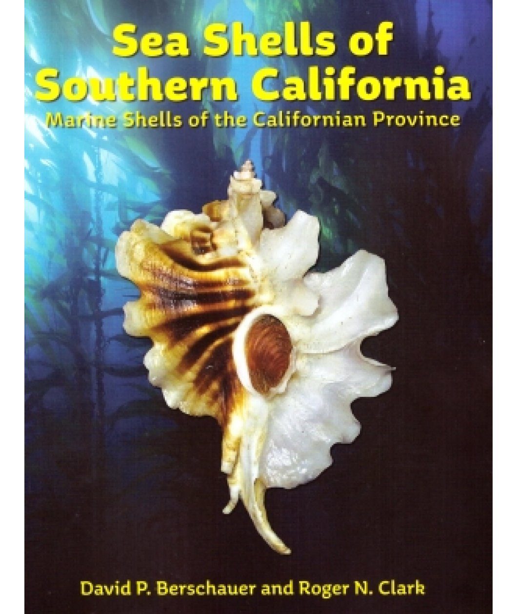 Sea Shells of Southern California Marine Shells of the Californian Province