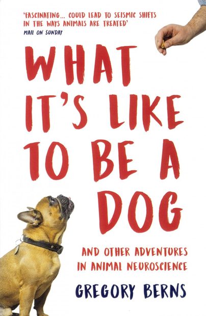 What It's Like to Be a Dog
