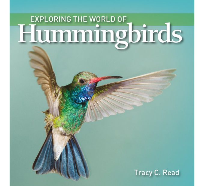 Exploring the World of Hummingbirds