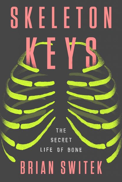 The Secret Life of Bones