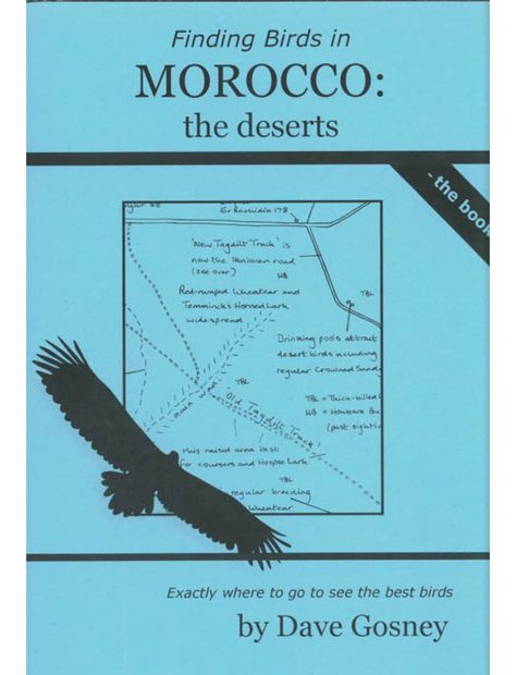 Finding Birds in Morocco: The Deserts