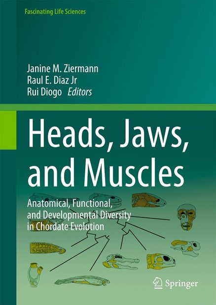 Heads, Jaws, and Muscles