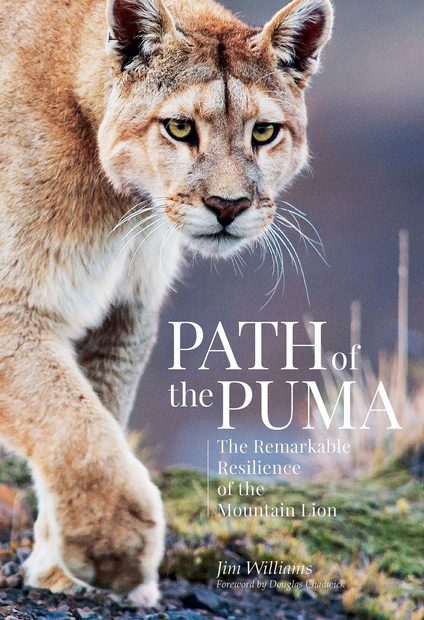 Path of the Puma