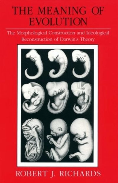 The Meaning of Evolution