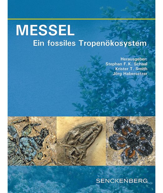 Messel: Ein Fossiles Tropenökosystem [Messel: An Ancient Greenhouse Ecosystem]