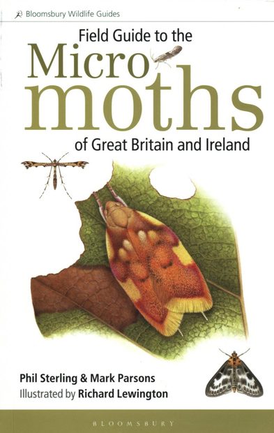 Field Guide to the Micro-Moths of Great Britain and Ireland | NHBS ...