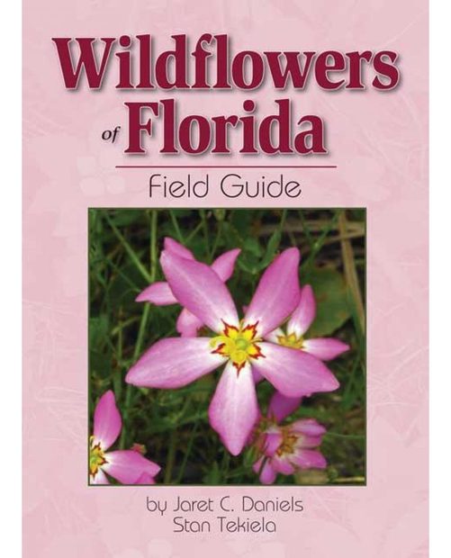 Wildflowers of Florida
