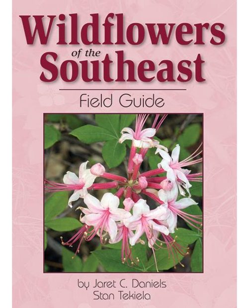 Wildflowers of the Southeast