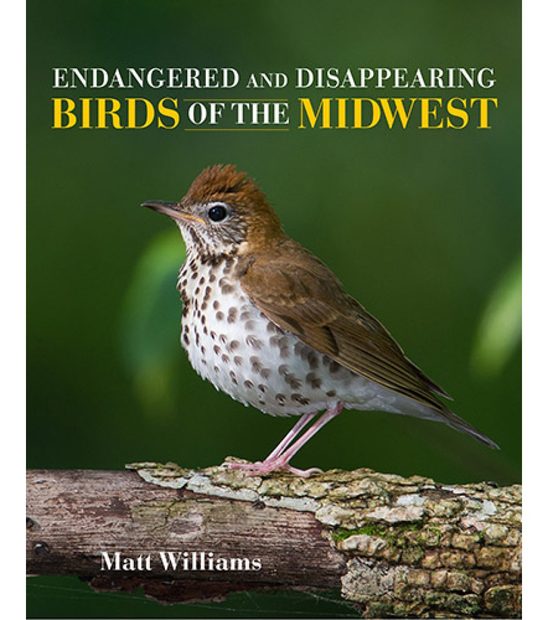 Endangered and Disappearing Birds of the Midwest